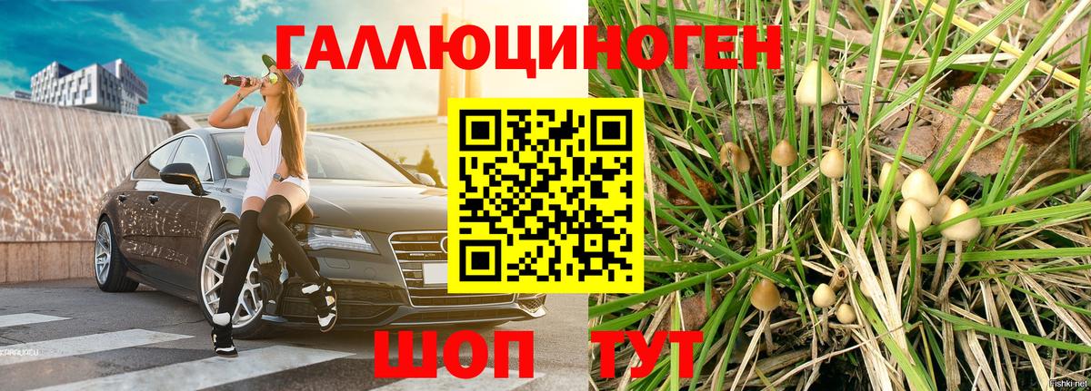 Галлюциногенные грибы Cubensis  Вход с VPN  Ейск 